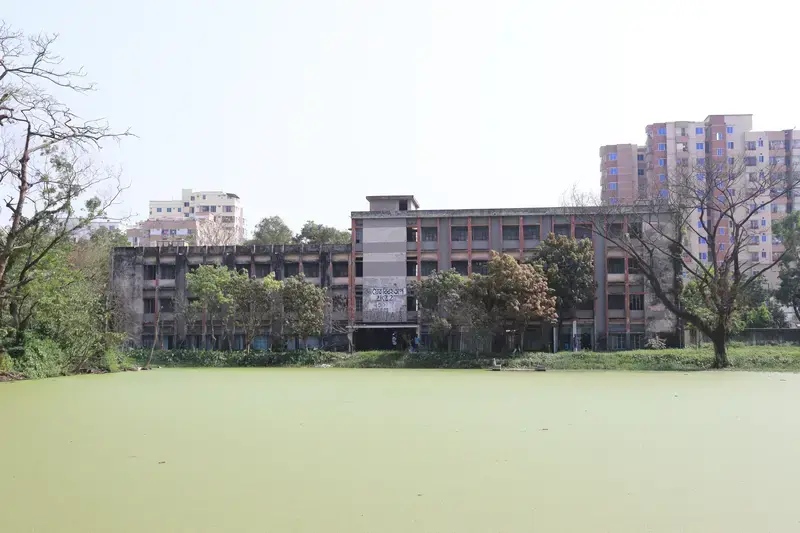 A Photo Gallery