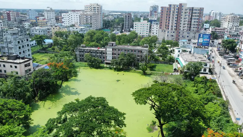 Bird Eye View